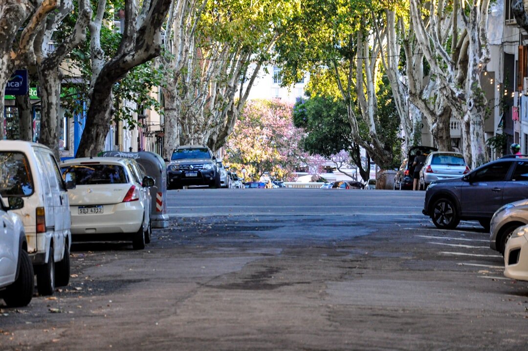 Old cobblestone street in Ciudad Vieja Montevideo at dusk with historic buildings